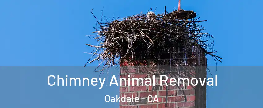 Chimney Animal Removal Oakdale - CA