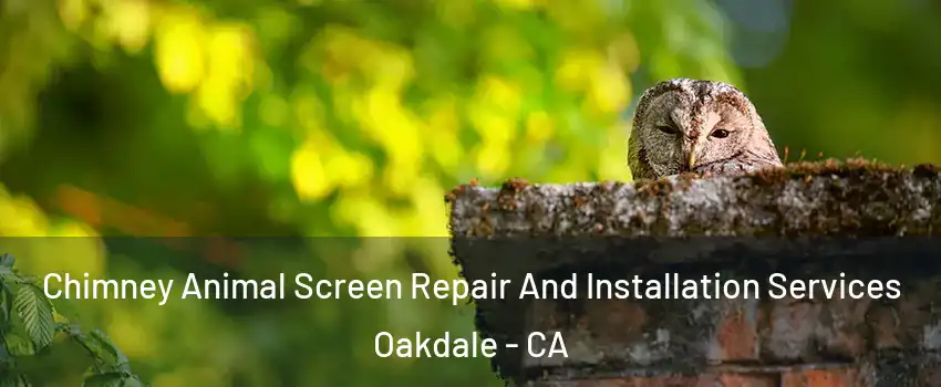  Chimney Animal Screen Repair And Installation Services Oakdale - CA