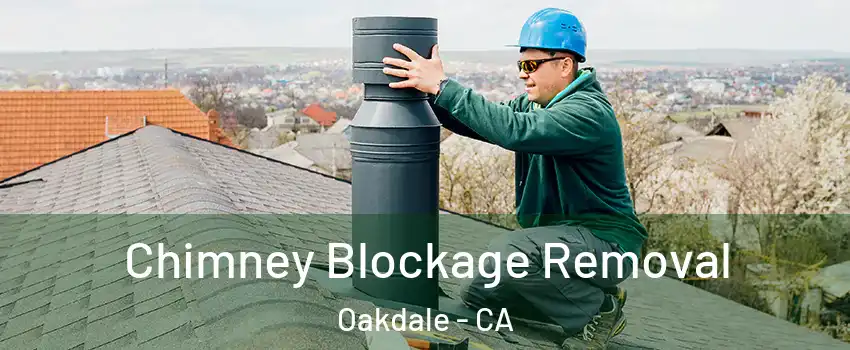  Chimney Blockage Removal Oakdale - CA