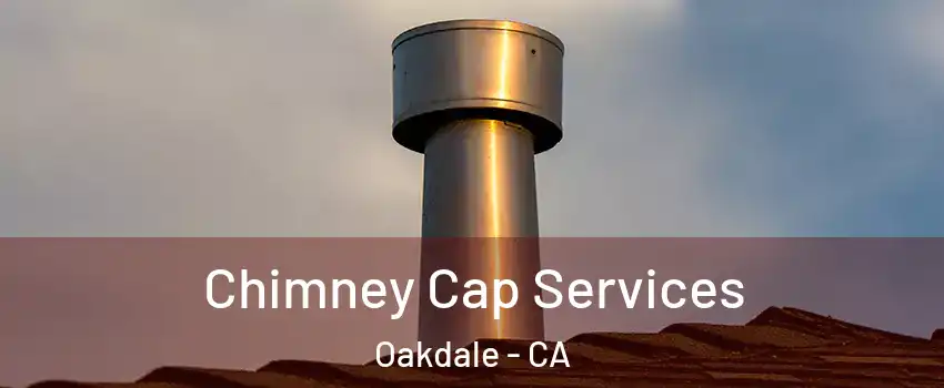  Chimney Cap Services Oakdale - CA