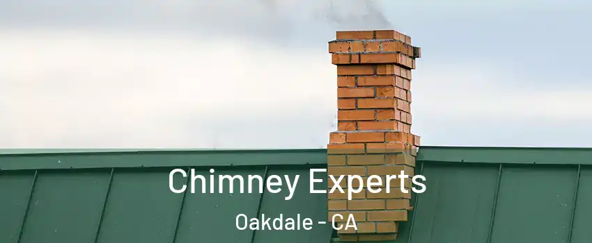 Chimney Experts Oakdale - CA