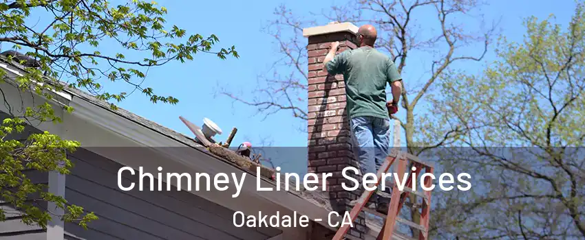  Chimney Liner Services Oakdale - CA