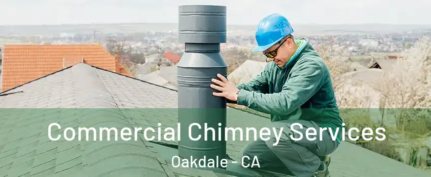  Commercial Chimney Services Oakdale - CA