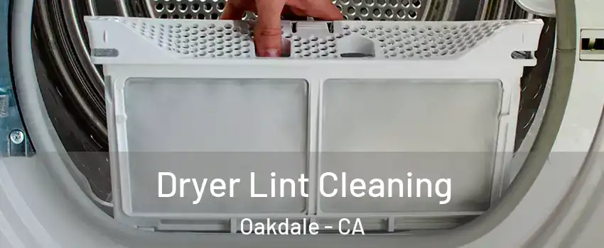  Dryer Lint Cleaning Oakdale - CA