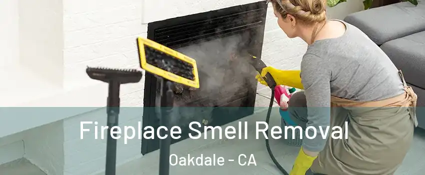  Fireplace Smell Removal Oakdale - CA