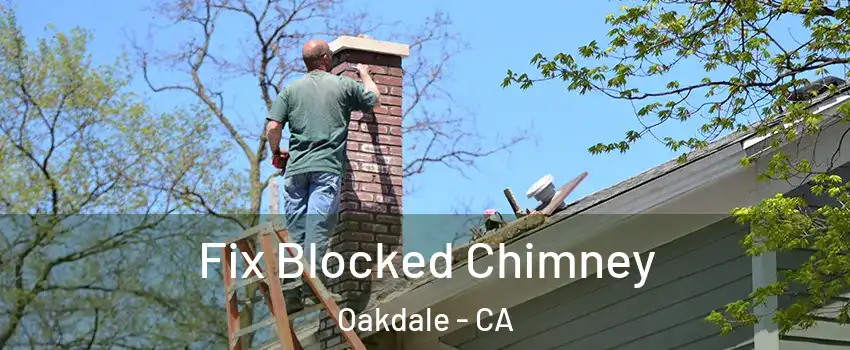  Fix Blocked Chimney Oakdale - CA