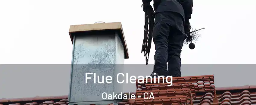  Flue Cleaning Oakdale - CA