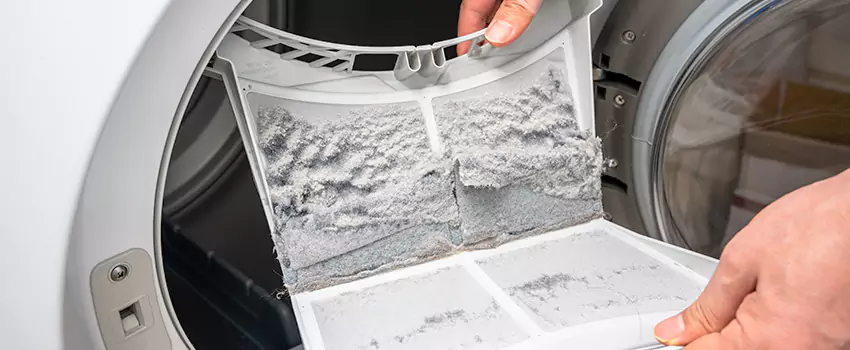 Best Dryer Lint Removal Company in Oakdale, California
