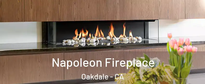  Napoleon Fireplace Oakdale - CA